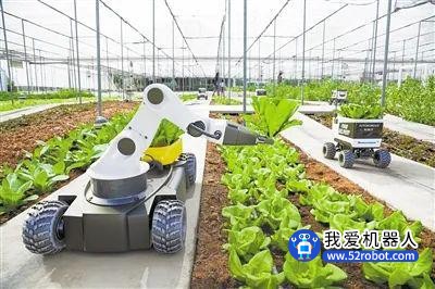 机器人技术正在农业领域大显身手 带来颠覆性挑战
