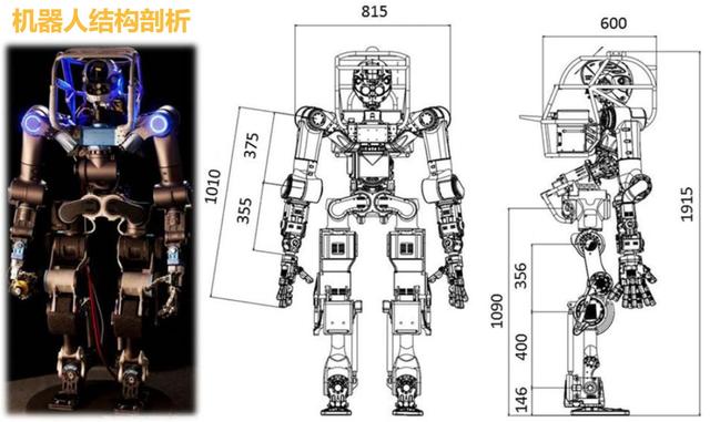 日本的机器人，到底有哪些功能？日本为何发展仿生机器人？