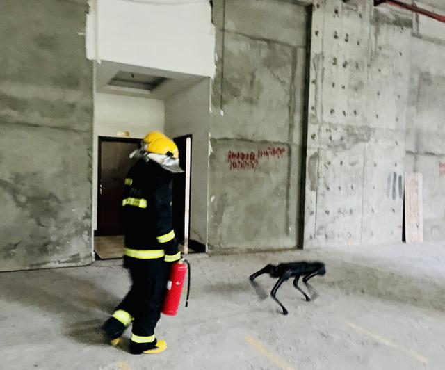 浓烟里爬楼救人的“机器狗” 四足机器人首次在消防应急演练中显身手