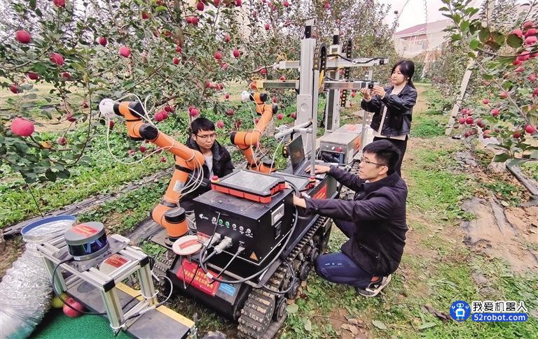 西北农林科技大学研发机器人“眼疾手快”摘苹果