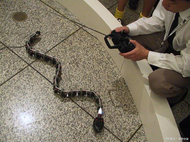 哈工大公布新发明：可实现无轮式与有轮式交互行进的蛇形机器人