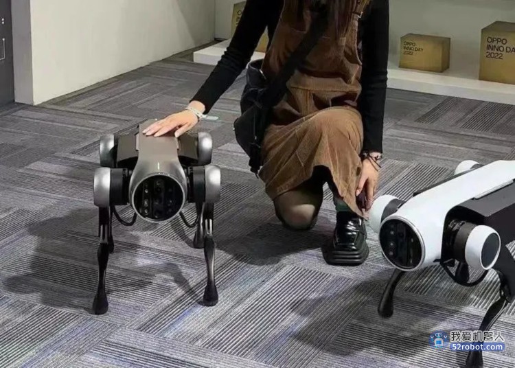 OPPO推出第三代四足机器人，是玩具还是真实用？