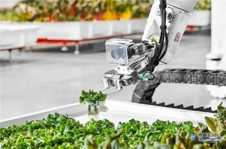 农业机器人的发展现状和趋势，加快中国现代农业的发展
