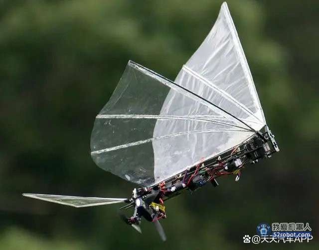 无人机技术新分支？像鸟一样飞行&着陆的扑翼机器人