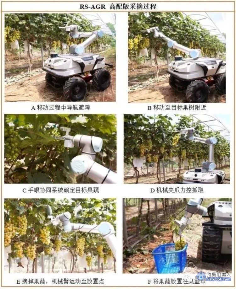 草莓采摘机器人亮相Greentech，上海推出首个全机器人智慧农场