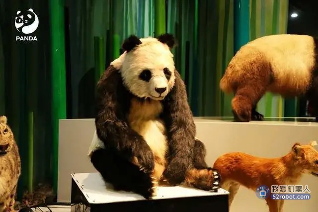 全球首只仿生大熊猫机器人“小川”正式发布
