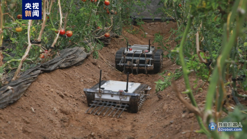 农业机器人犁地 无人机监测！硬核“新农人”有多忙？