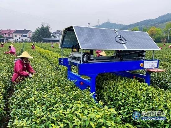 农业机器人也能采茶了？难度堪比“农田里绣花”
