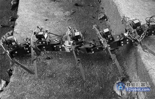 美国研制出蜈蚣型机器人，适应崎岖路面爬行