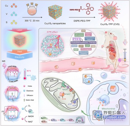 Science子刊发表！哈工程成功研发治疗肿瘤“液体机器人”！